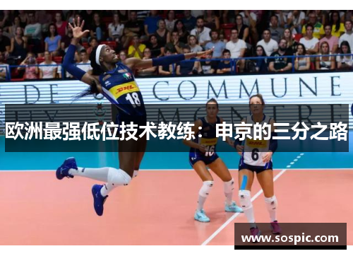 欧洲最强低位技术教练：申京的三分之路
