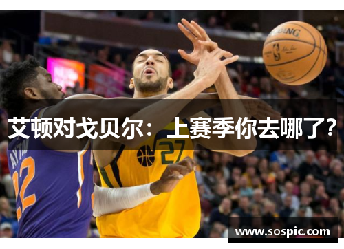 艾顿对戈贝尔：上赛季你去哪了？